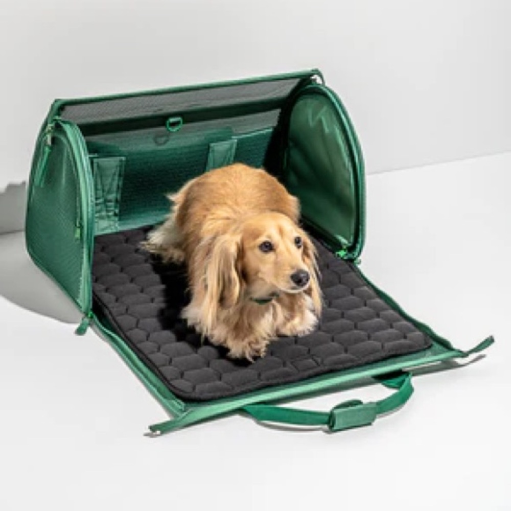 Travel Carrier